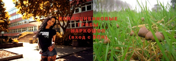 твердый Балахна