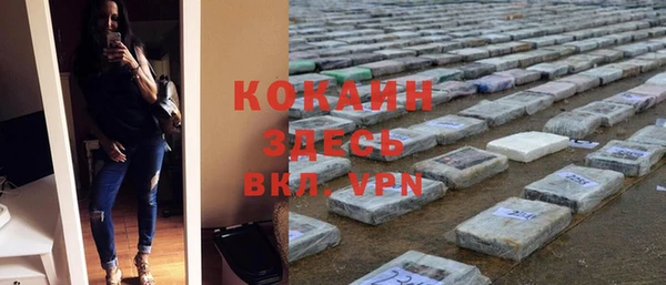 мяу мяу мука Арсеньев