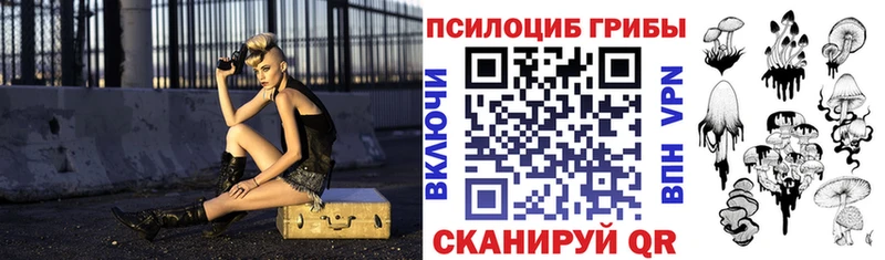Псилоцибиновые грибы Magic Shrooms  закладки  Пущино 